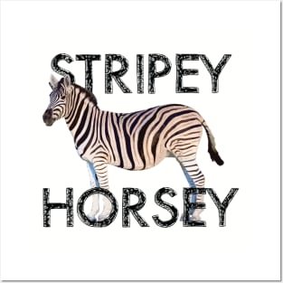 Stripey Horsey Posters and Art